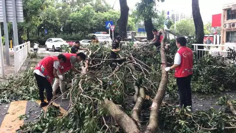 深圳喜迎台风过境，共筑平安美好家园