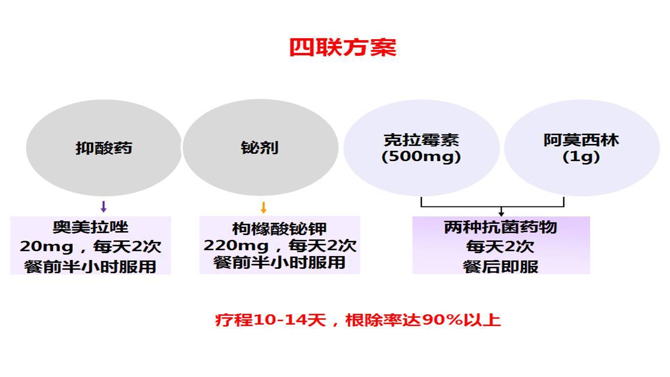 幽门杆菌四联疗法全新剂量方案，守护健康每一天