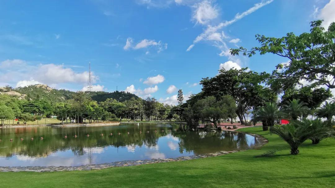 广东地区台风最新动态，安全预警伴您安心出行