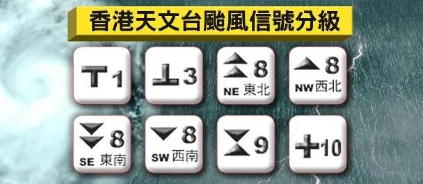 台风九号动态追踪，实时守护，共筑平安防线