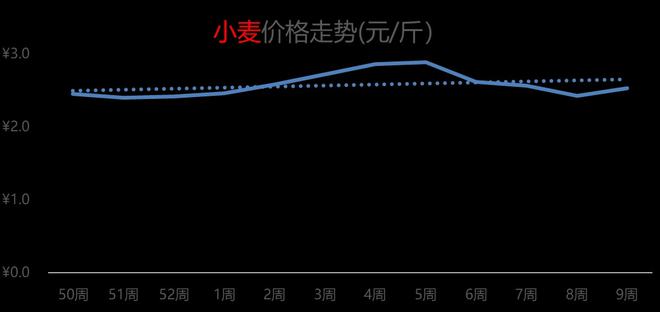 淮北小麦市场实时价格动态