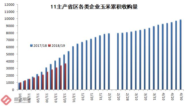 玉米市场动态深度解读