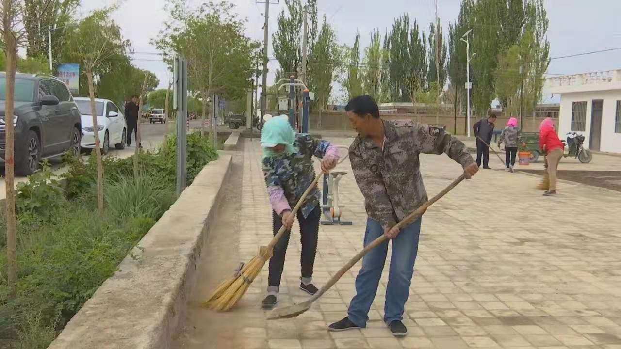 沙河市最新就业资讯速递