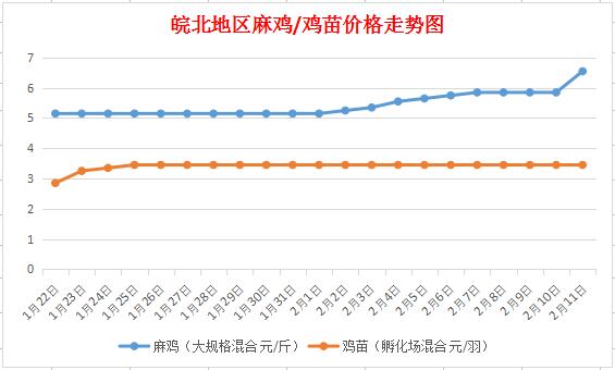 “皖北麻鸡市场最新价格动态”