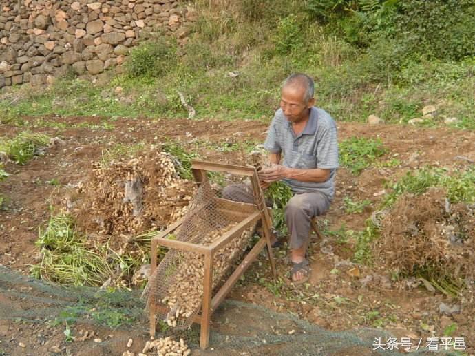 平邑县最新职位招募资讯