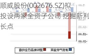 顺威股份最新资讯发布：揭秘公司动态与最新战略动向