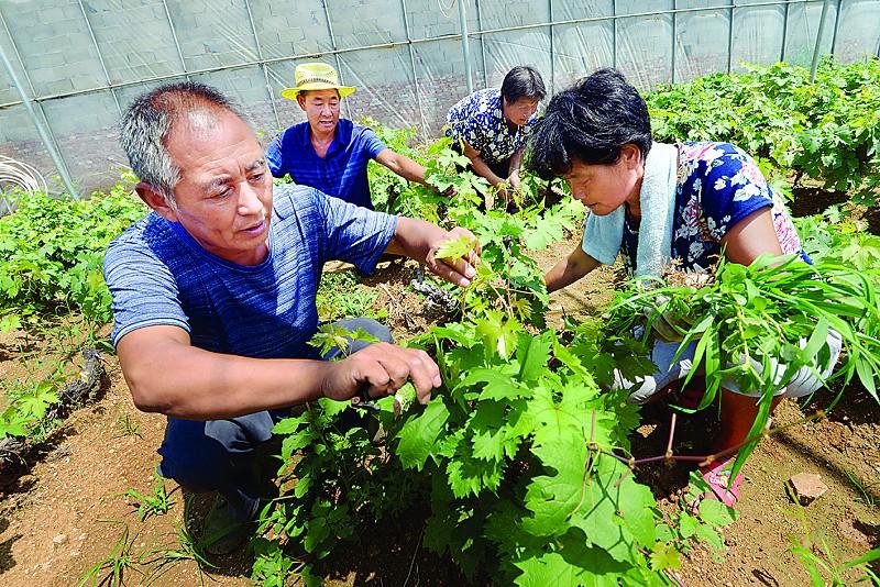 莱城区口镇最新职位发布，诚邀英才加入！