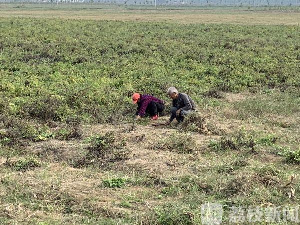 涟水地区最新人力资源市场招聘资讯汇总