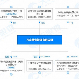 山东万鑫集资项目最新进展及实时动态解析