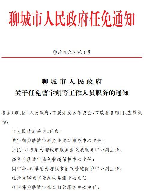 钟祥市政府最新人事调整与任免信息汇总