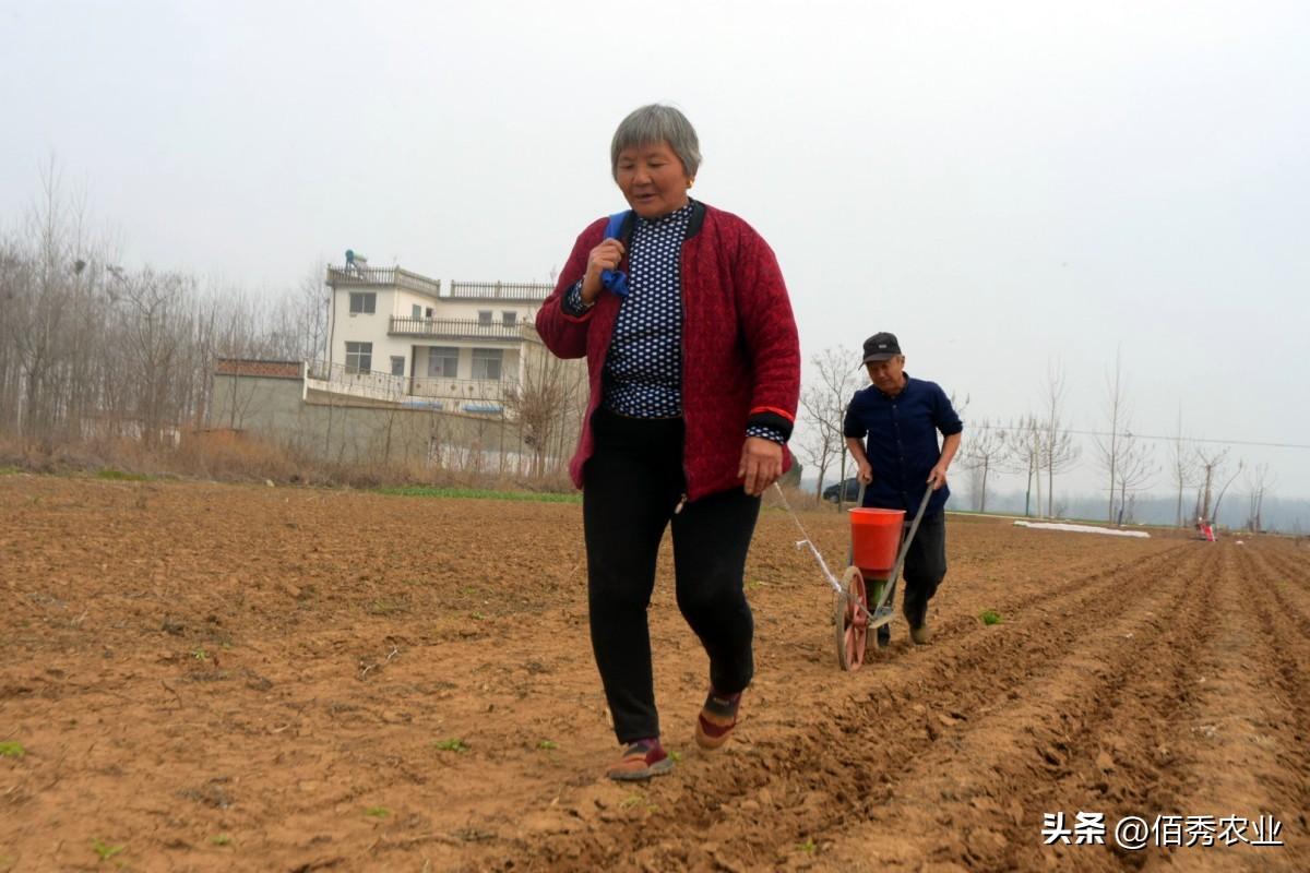 最新发布：中国复合肥市场行情一览及实时报价动态