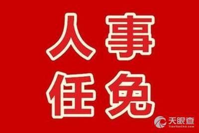 庄河市最新官方人事调整与任命一览